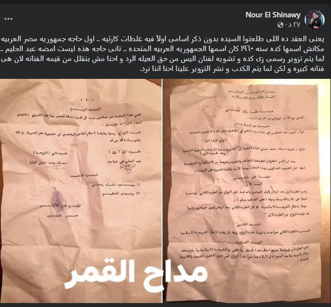 نور الشناوي