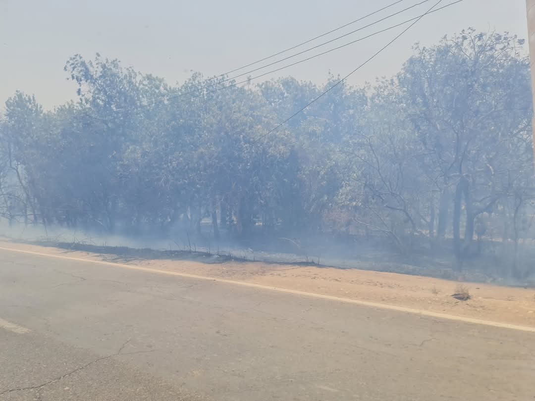 نشوب حريق بقرية القصر