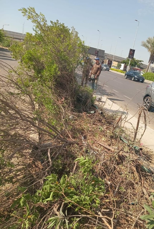 سيارة تخترق سور كمبوند وتصطدم بأتوبيس مدرسة بالقاهرة الجديدة