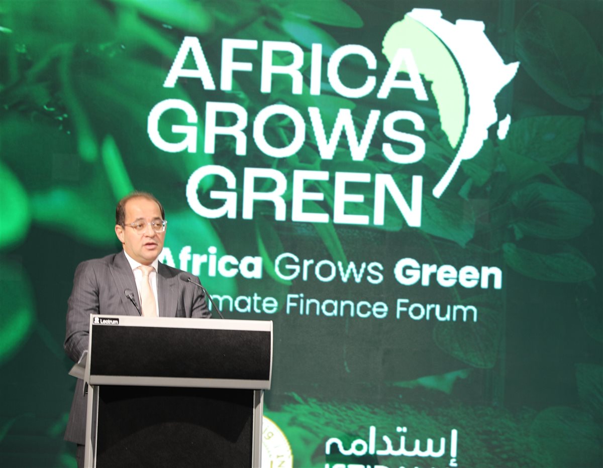 وزير المالية