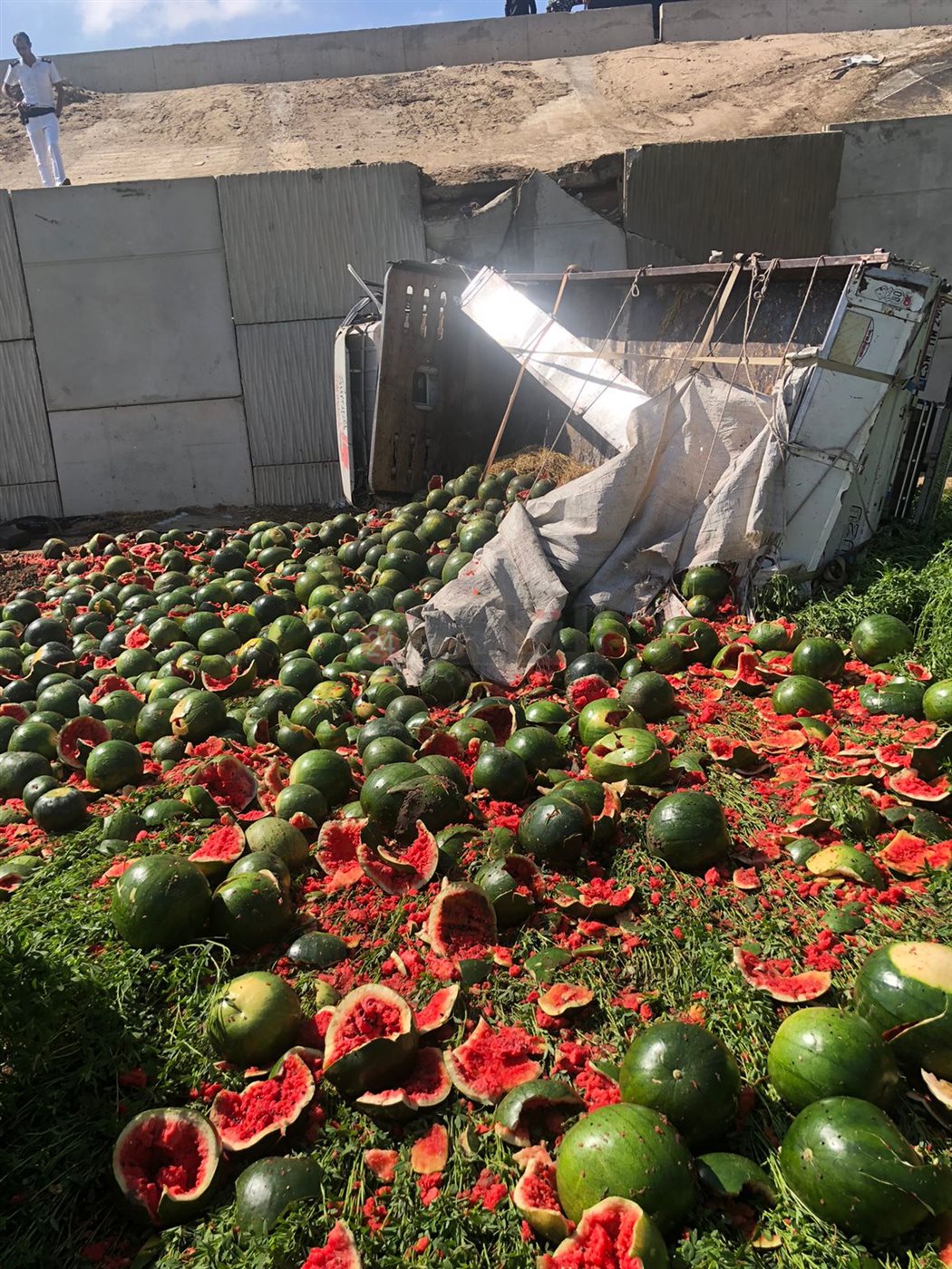 انقلاب سيارة نقل محملة بالبطيخ من على الطريق الإقليمي بالمنوفية 