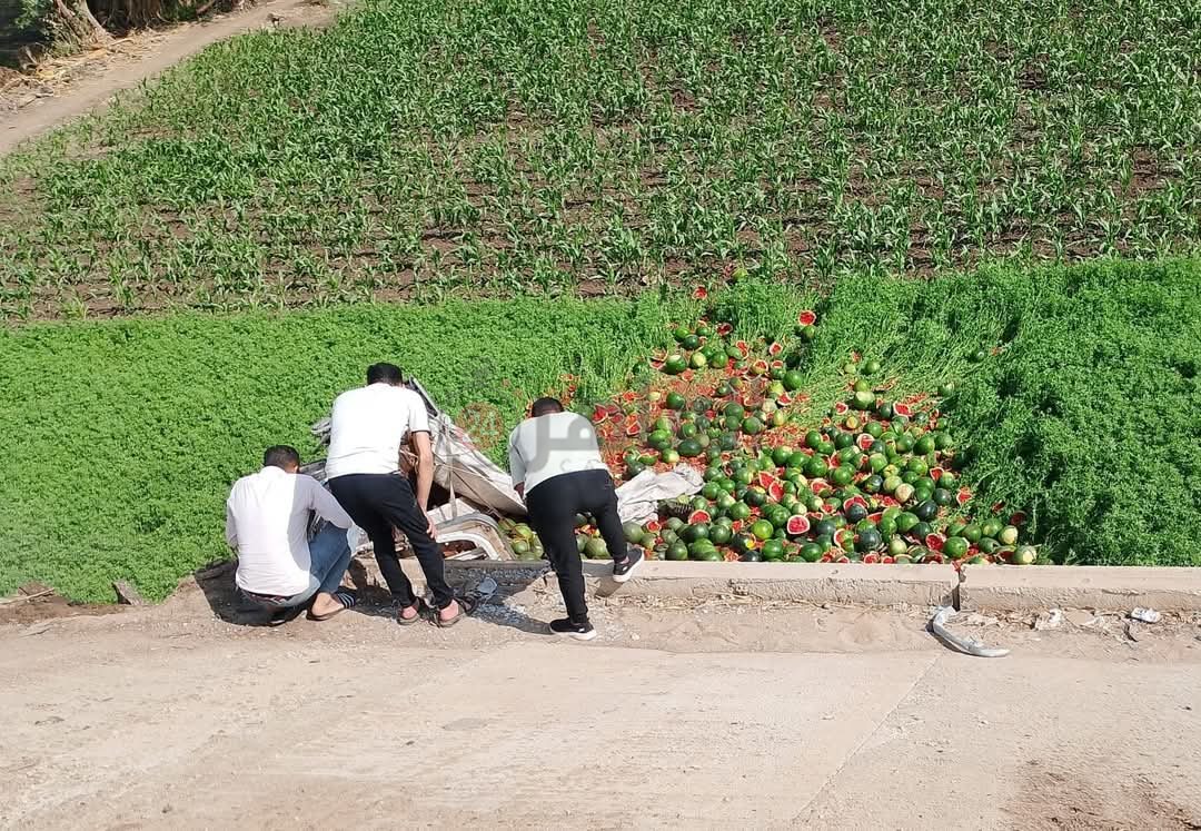 انقلاب سيارة نقل محملة بالبطيخ من على الطريق الإقليمي بالمنوفية 