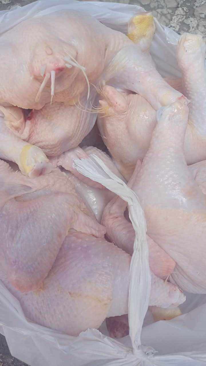 حملة تموينية مكبرة ببورسعيد 