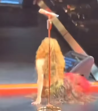 النجمة العالمية شاكيرا