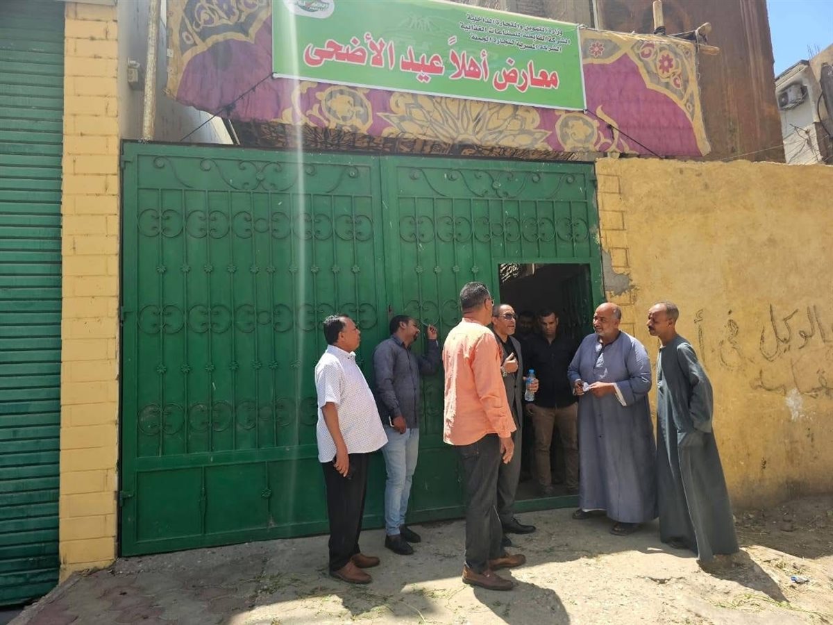 تموين الأقصر تعلن عن وصول خراف العيد