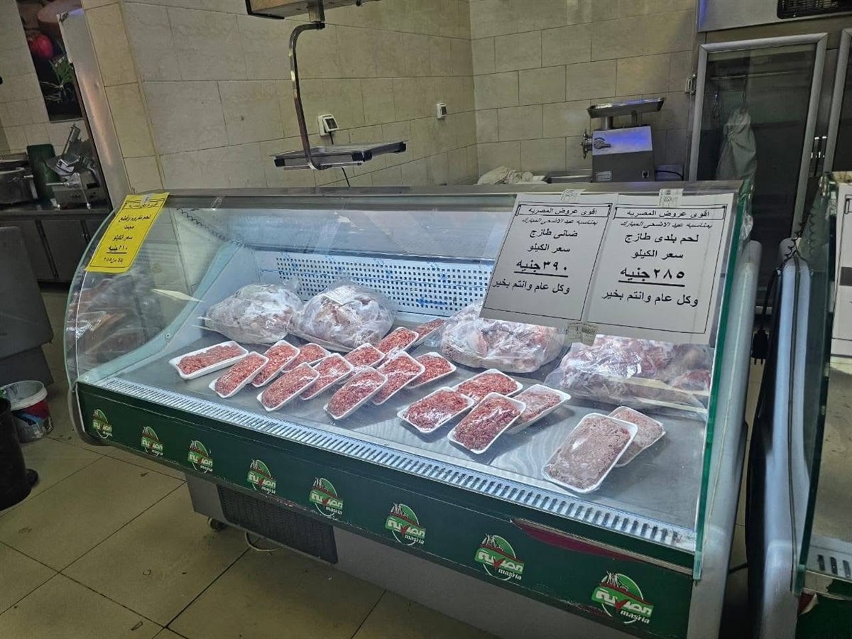 تموين الأقصر تعلن عن وصول خراف العيد