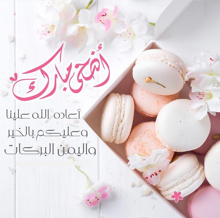 بطاقة تهنئة جاهزة لعيد الأضحى