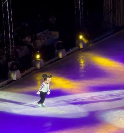 جانب من العروض