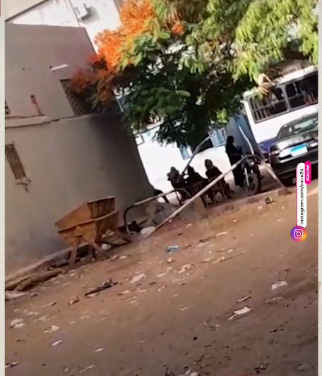 أسرة أحمد الدحوي