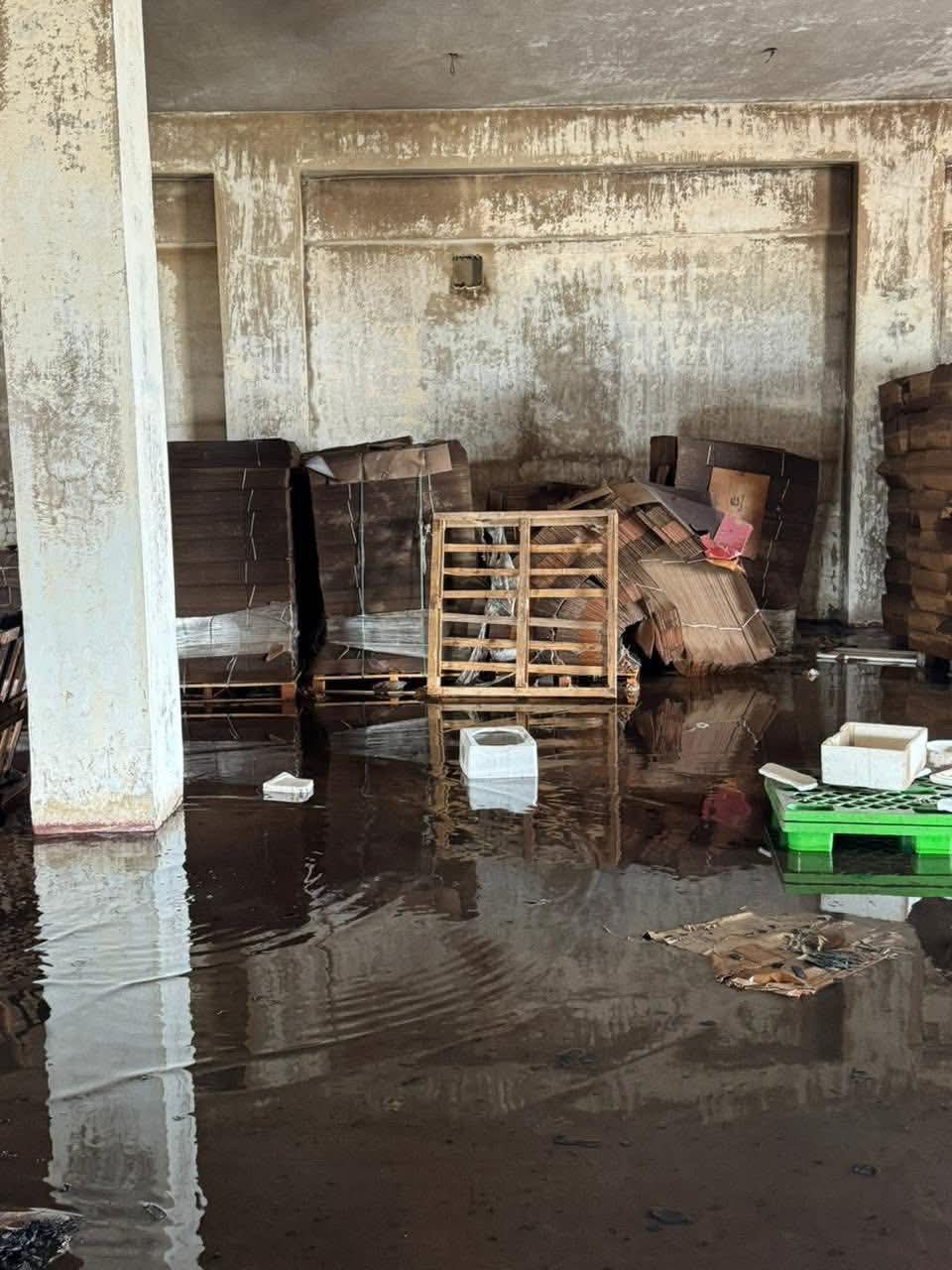 حريق مخزن ببورسعيد