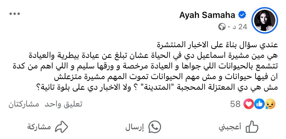 آية سماحة تنتقد مشيرة إسماعيل