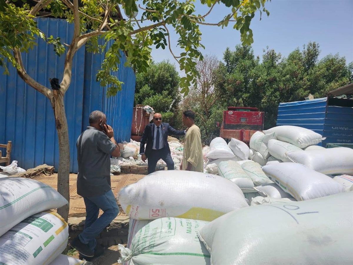 وفرة في القمح بالأقصر هذا العام