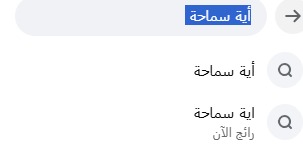  أية سماحة الأكثر روجًا على الفيس بوك بعد قرار أشرف زكي بالنظر في إلغاء تصريحها من نقابة الممثلين