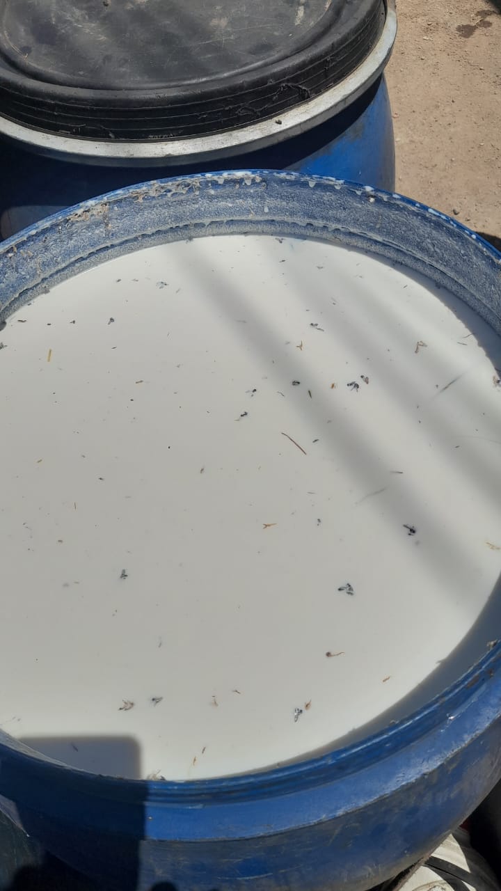 التحفظ على 900 لتر من الألبان الغير صالحة للإستهلاك الآدمي بالبحيرة