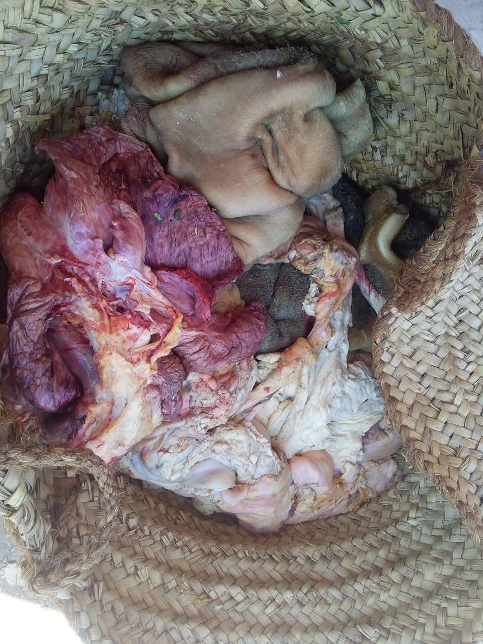 حملات تموينية بالأقصر