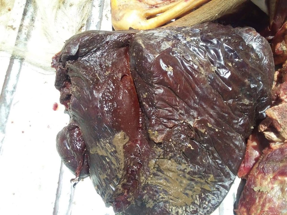 حملات تموينية بالأقصر