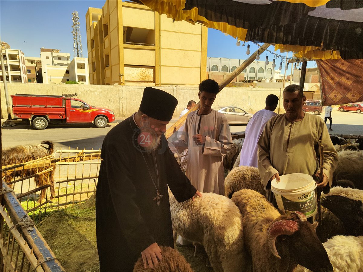راعي الكنيسة الكاثوليكية يشتري أضحية العيد