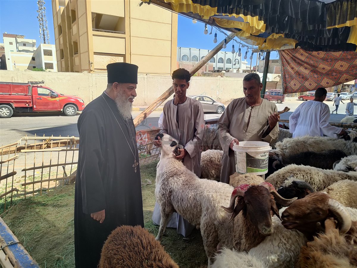 راعي الكنيسة الكاثوليكية يشتري أضحية العيد