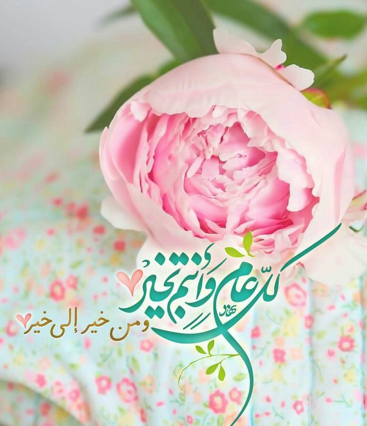 ما هي أجمل عبارات التهنئة في العيد؟