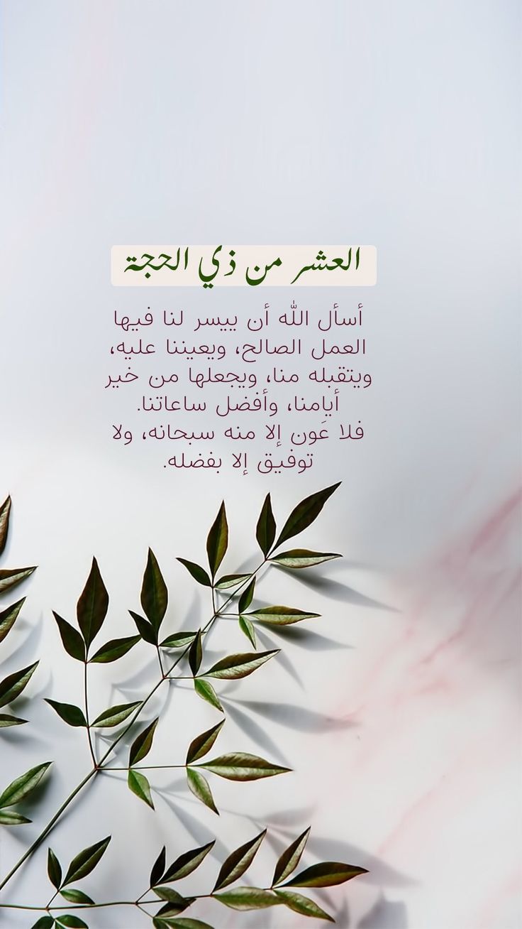 حديث خير الدعاء دعاء يوم عرفة