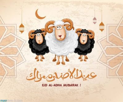 صور عيد الأضحى