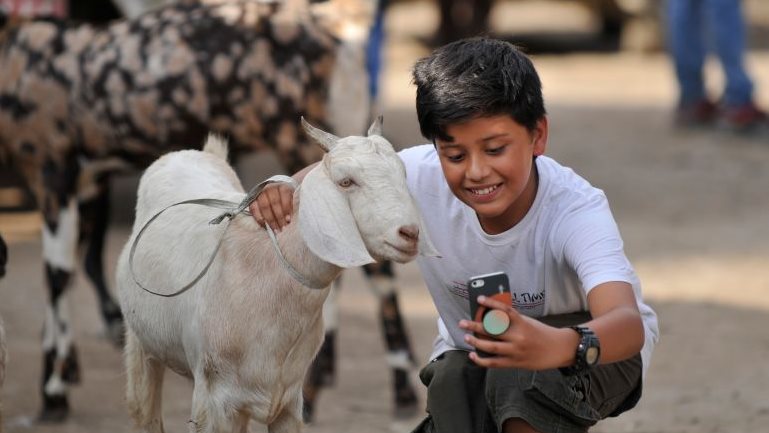 دعاء عيد الأضحى المبارك