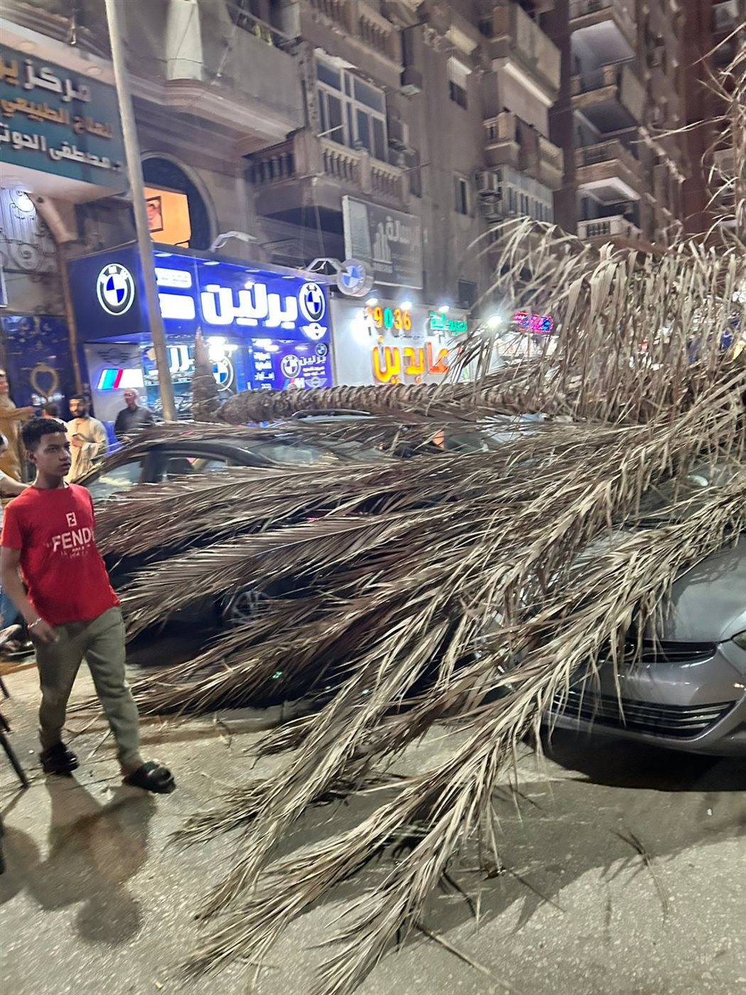 سقوط نخلة على عدد من السيارات 