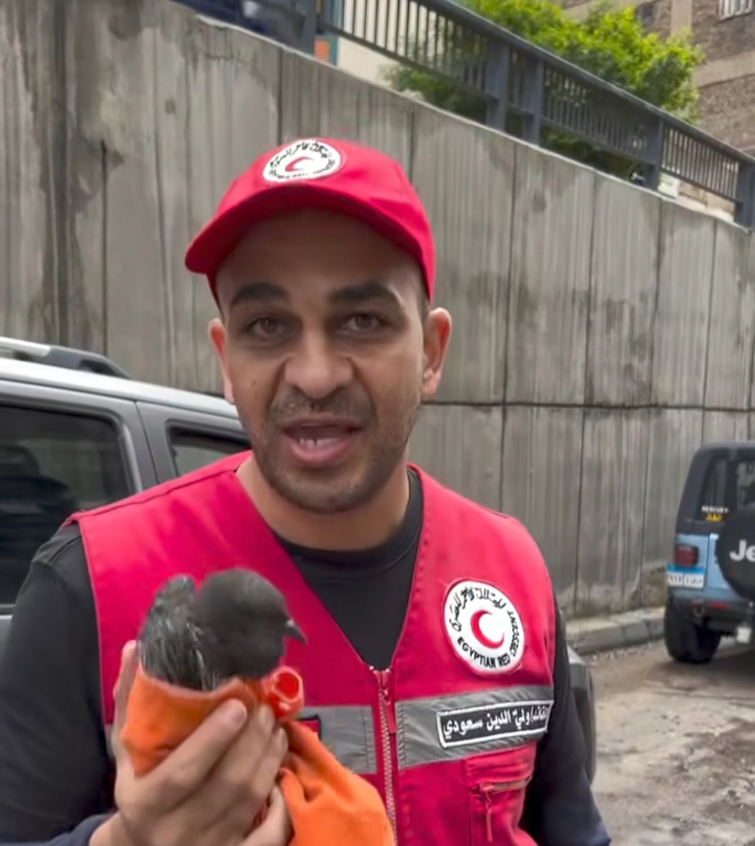 عمال الصرف الصحي والمياه والهلال الأحمر جنود مجهولون لتفادي تداعيات عاصفة الإسكندرية 