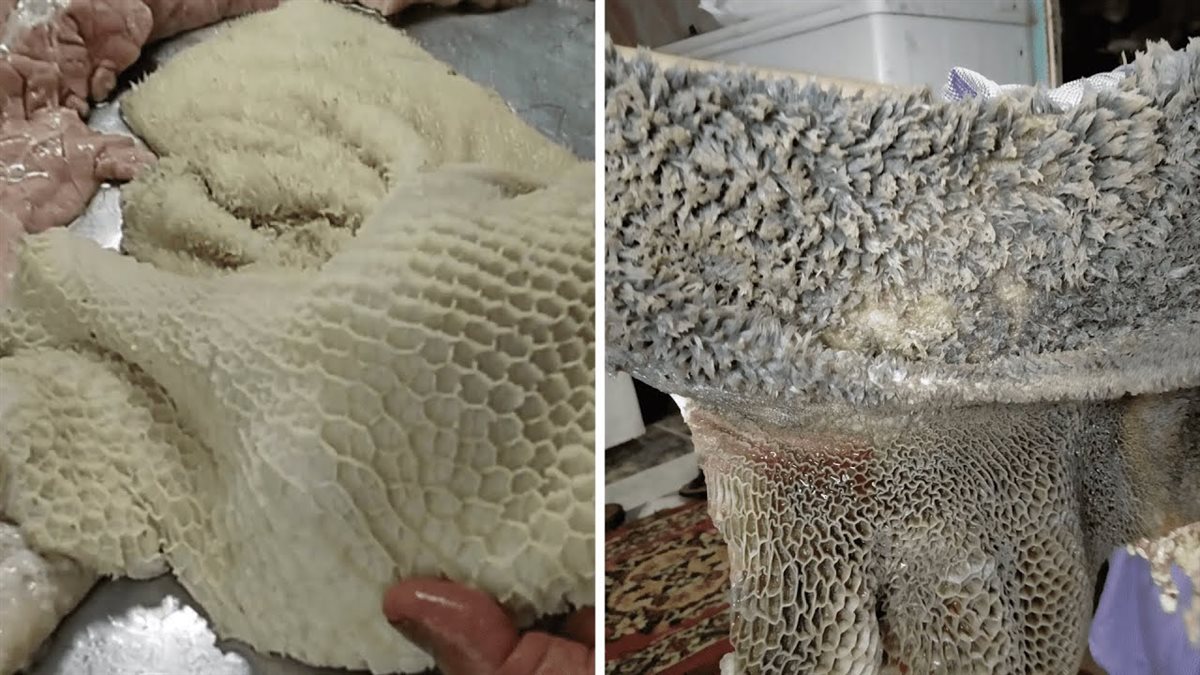 طريقة تنظيف الكرشة بالخل