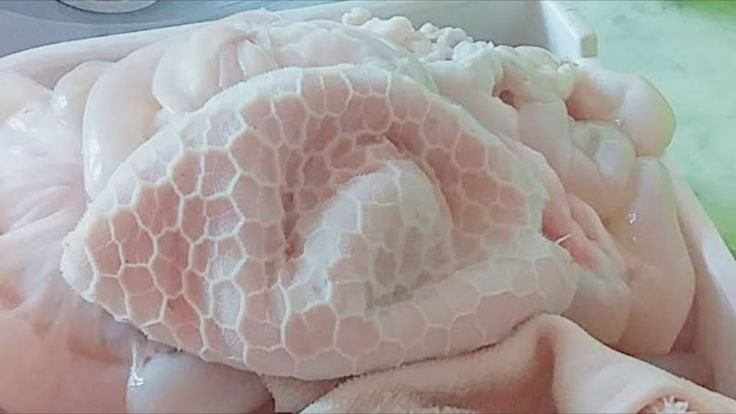 طريقة تنظيف الكرشة بعد وضعها في الفريزر