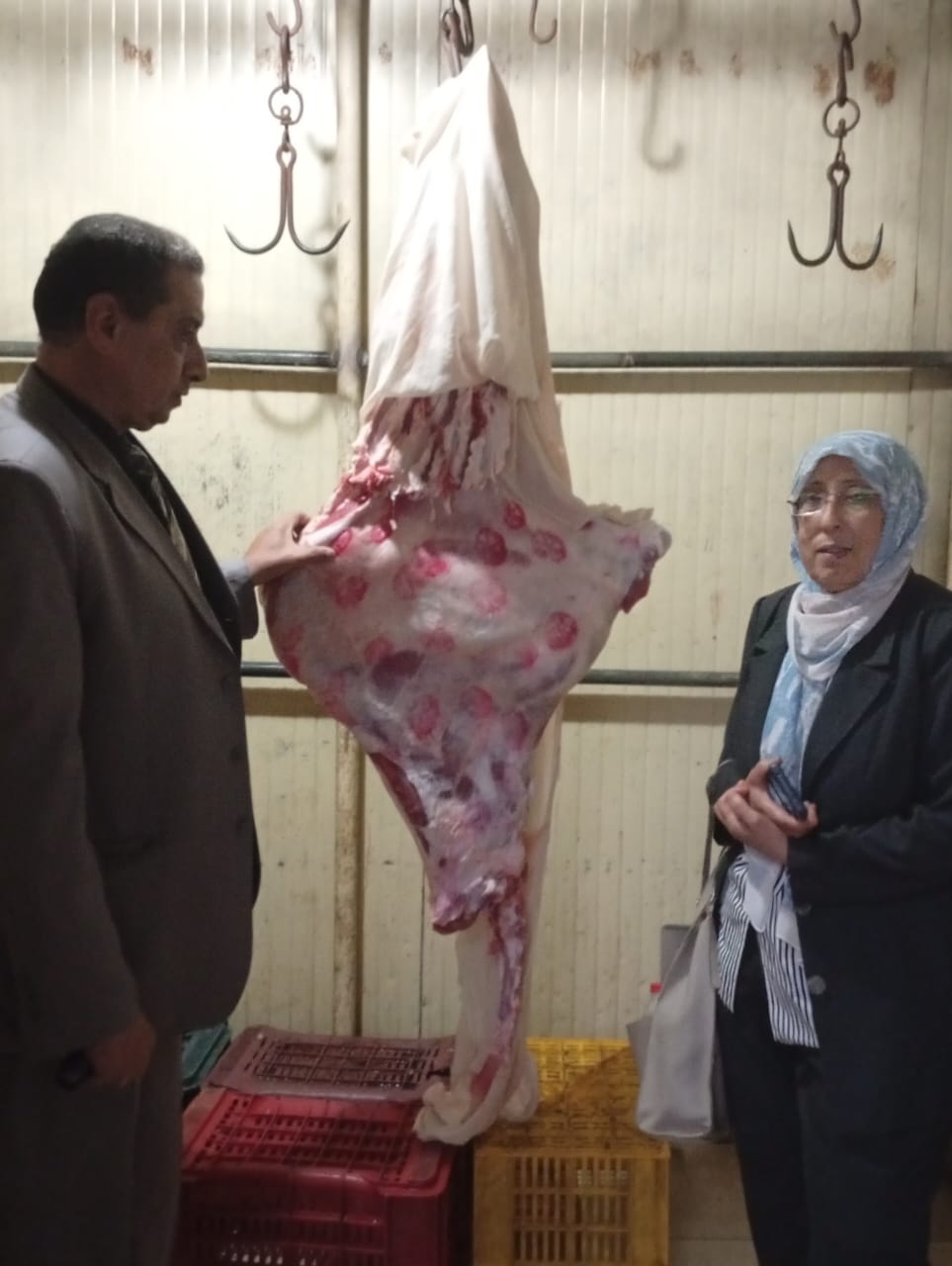 جانب من الحملة