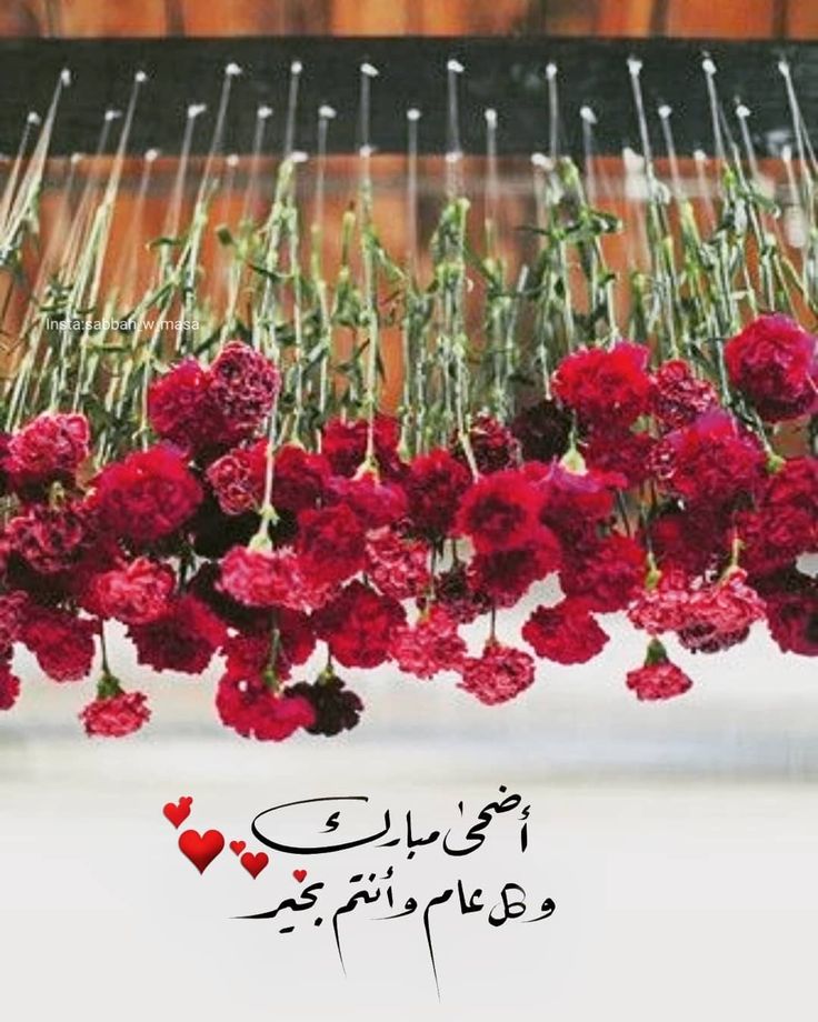 صور تهنئة بعيد الأضحى بدون حقوق نشر