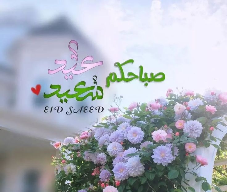 صور تهنئة بعيد الأضحى بدون حقوق نشر