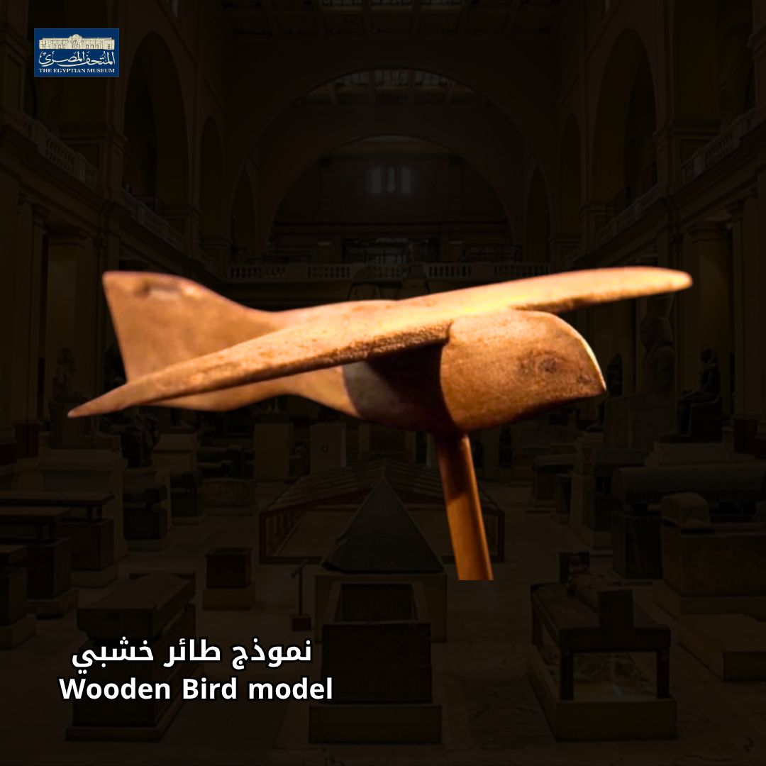 صقر من خشب الجميز