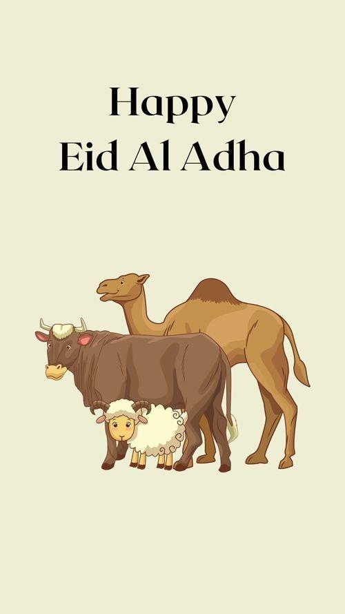 تهنئة عيد الأضحى المبارك11