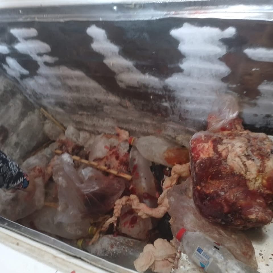 ضبط لحوم فاسدة بالأقصر قبل عيد الأضحى