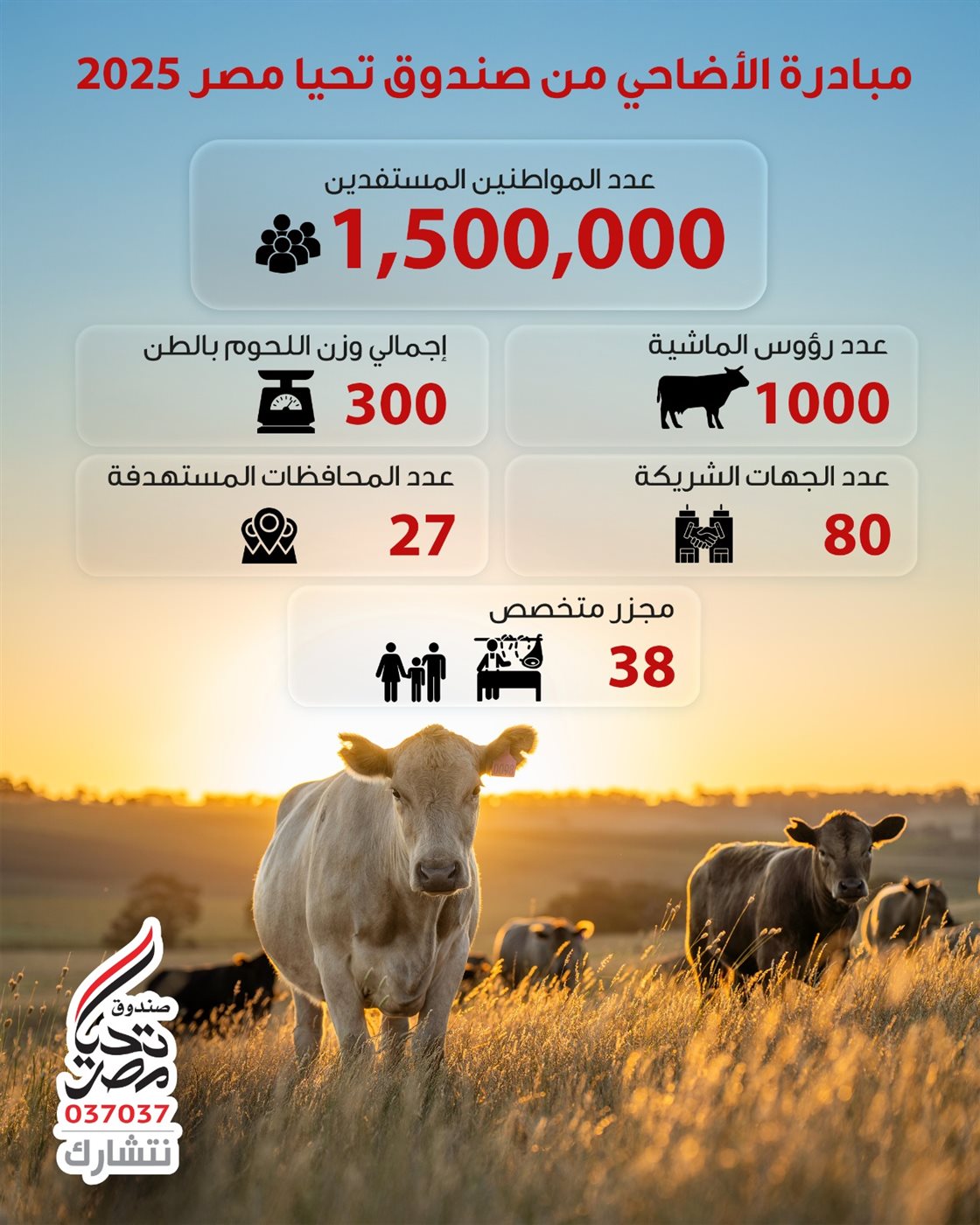 مبادرة صندوق تحيا مصر