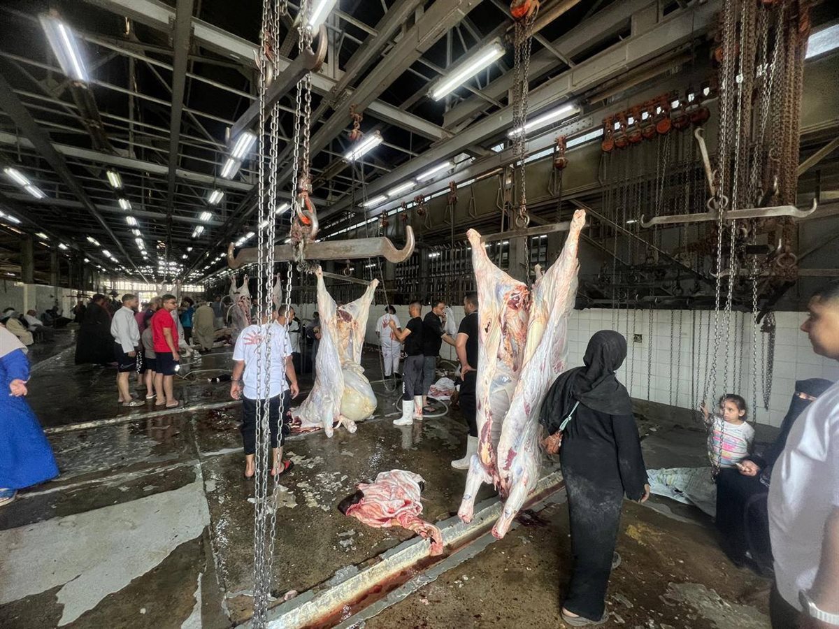 المجازر الحكومية