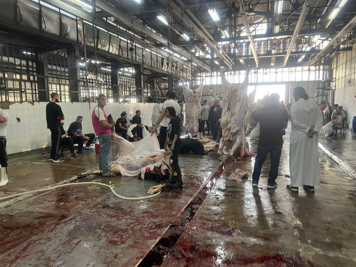 المجازر الحكومية