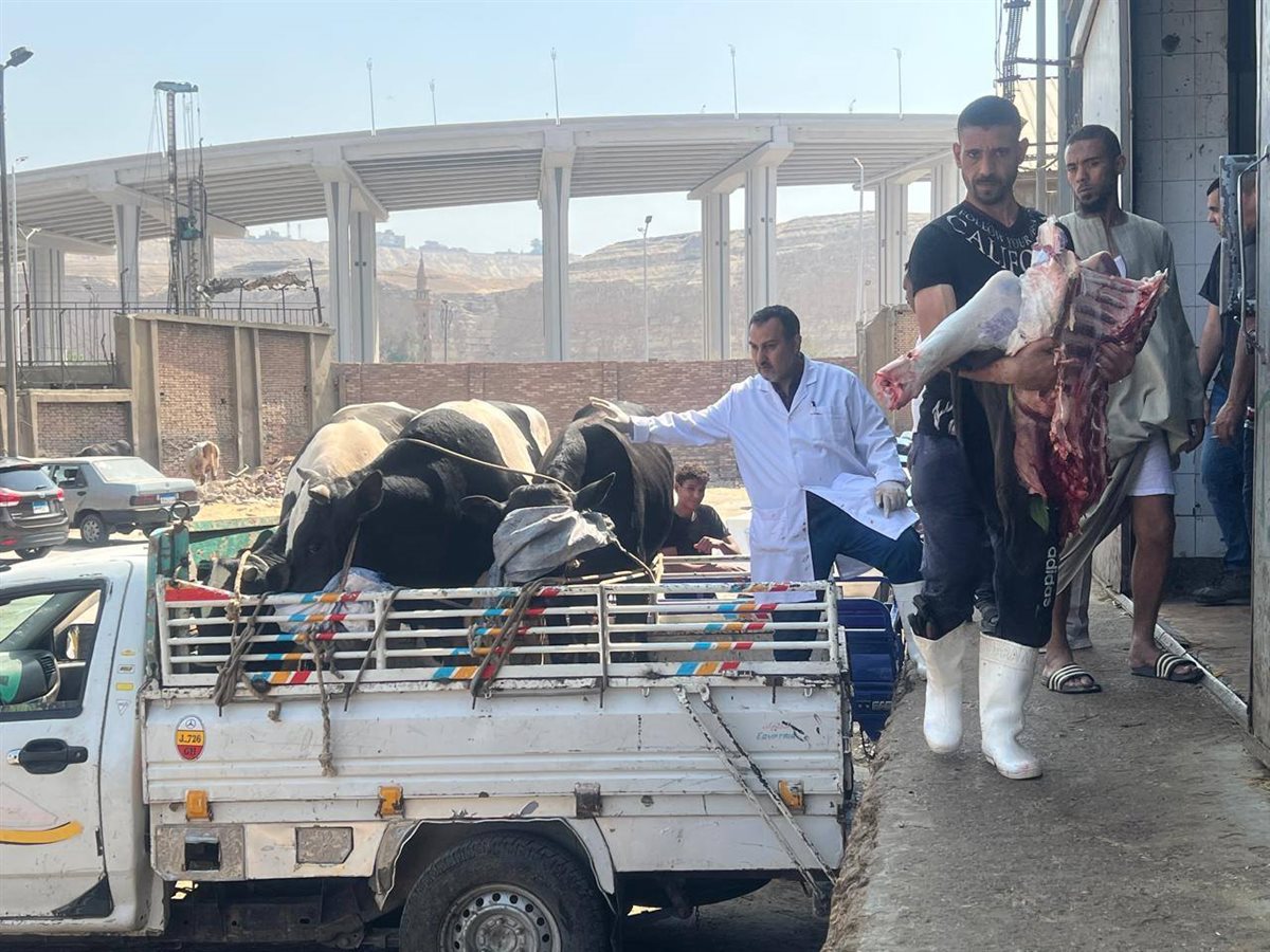 المجازر الحكومية