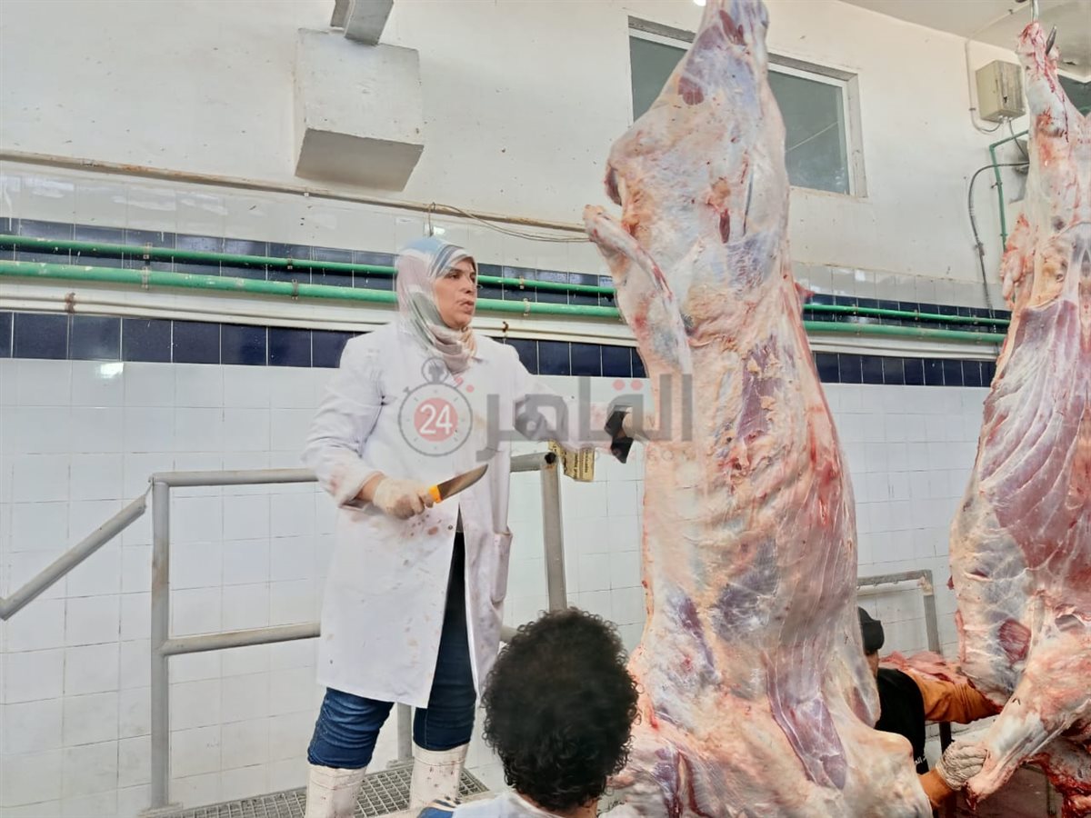 بيطريات البحر الأحمر داخل مجازر الغردقة 