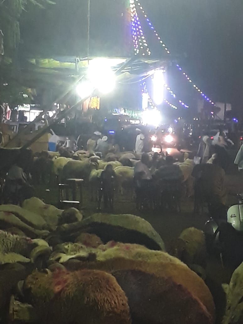 استياء أهالي الموسكي من فوضى تجار الأغنام بميدان باب الشعرية