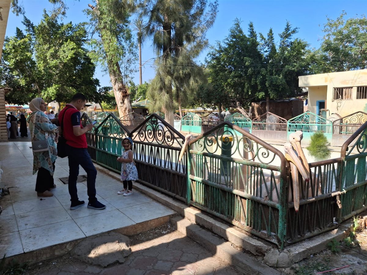 حدائق الحيوان الإقليمية والأسماك بالزمالك 