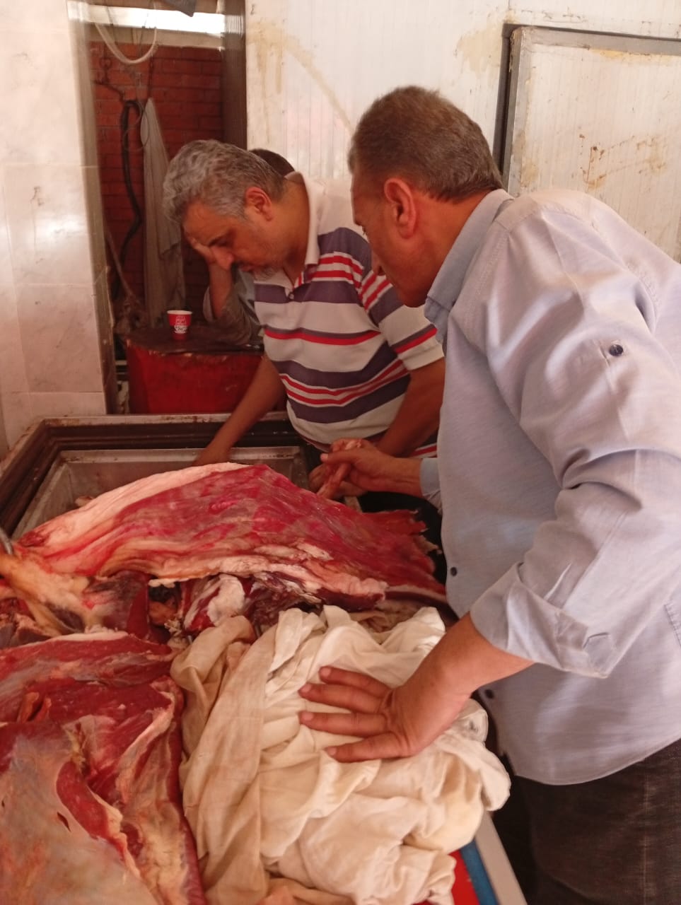 جانب من الحملة