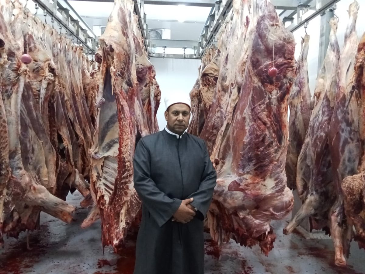 الأوقاف تواصل ذبح صكوك الأضاحي لليوم الثالث على التوالى