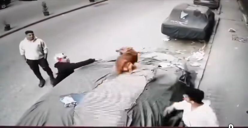 فيديو التعدي بالضرب على كلب