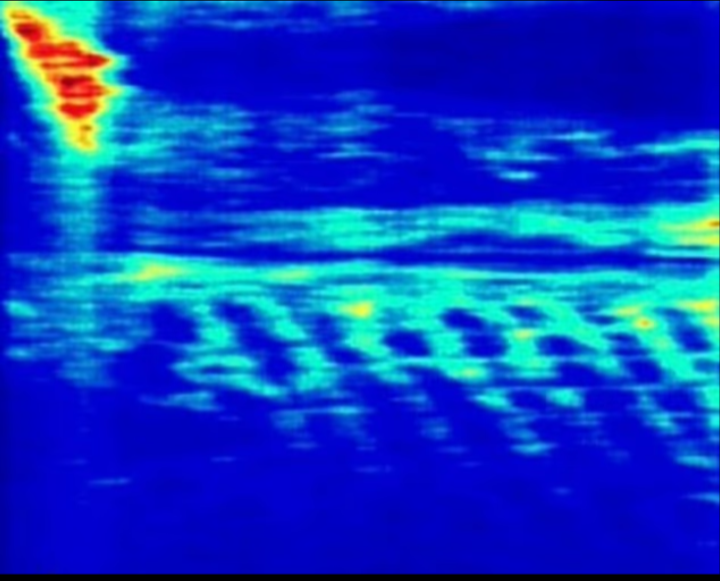 جانب من الصور المرفقة بالبحث