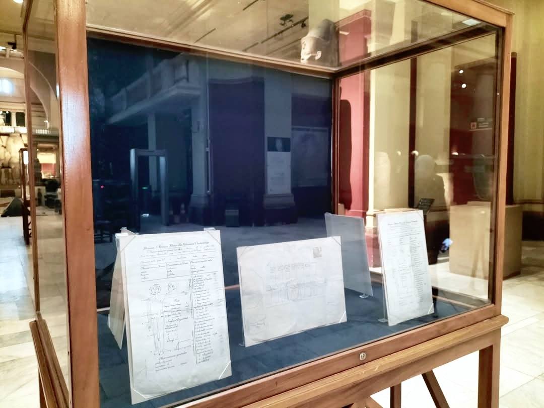 السجلات العلمية الأولى للمومياوات الملكية