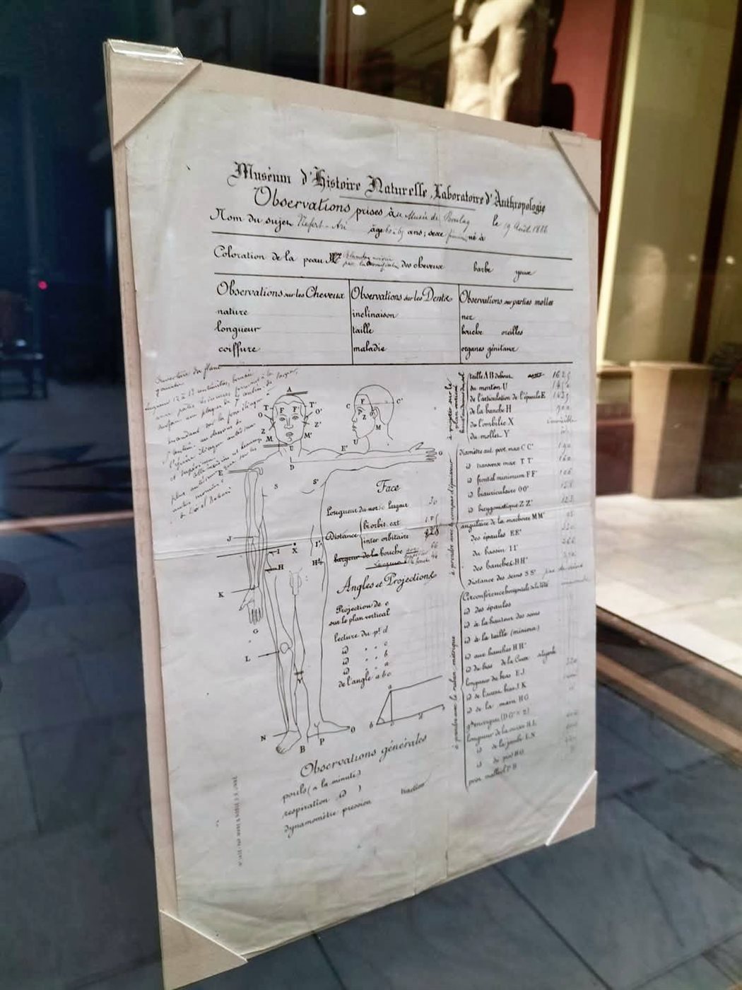 السجلات العلمية الأولى للمومياوات الملكية