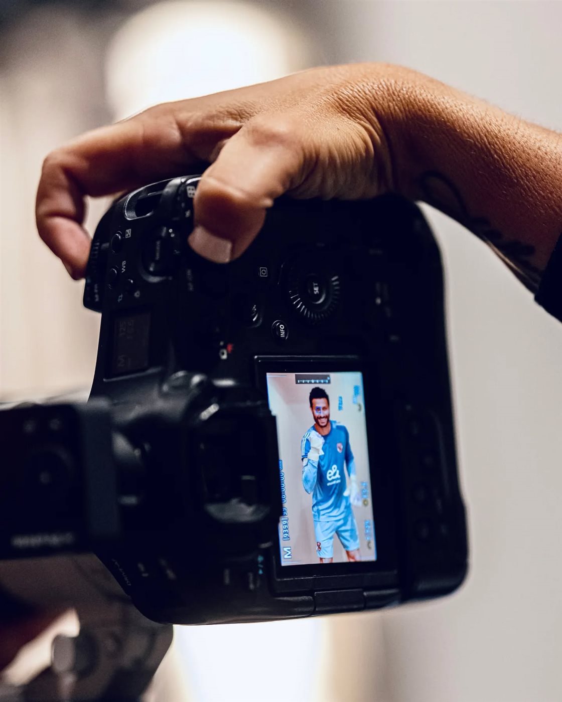 <strong>محمد الشناوي</strong>